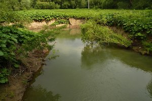 Řeka_Lučina_za_zámkem_Šumbark_(2)